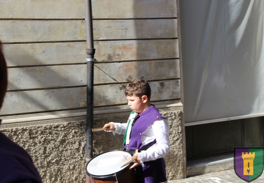 IMG 1323