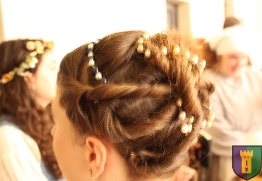 Palio delle Contrade di San Secondo Parmense - Contrada Castell'Aicardi