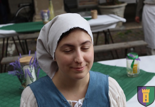 Contrada Castell'Aicardi - Palio delle Contrade di San Secondo Parmense