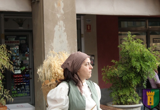 Contrada Castell'Aicardi - Palio delle Contrade di San Secondo Parmense
