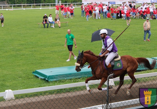 Contrada Castell'Aicardi - Palio delle Contrade di San Secondo Parmense