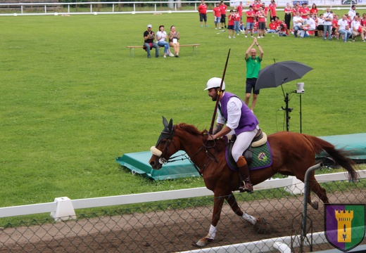 Contrada Castell'Aicardi - Palio delle Contrade di San Secondo Parmense